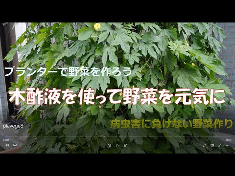 木酢液は危険 木酢液の発がん性を考えた安全な作り方のキクノールさんの凄さに感銘 Rainy Days